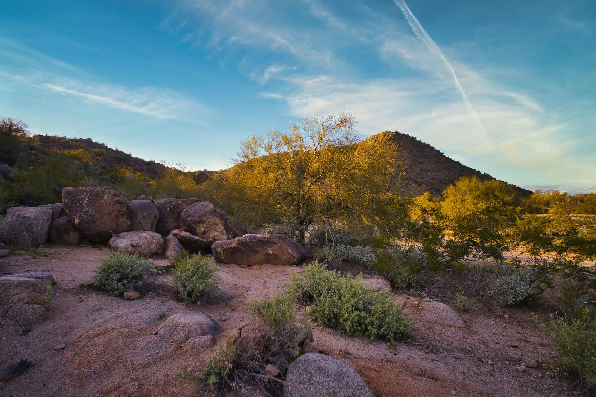 Arizona